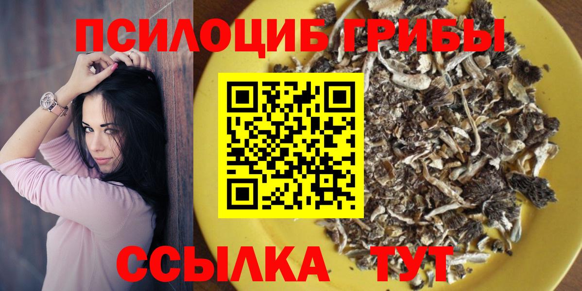 Псилоцибиновые грибы Psilocybine cubensis Анжеро-Судженск